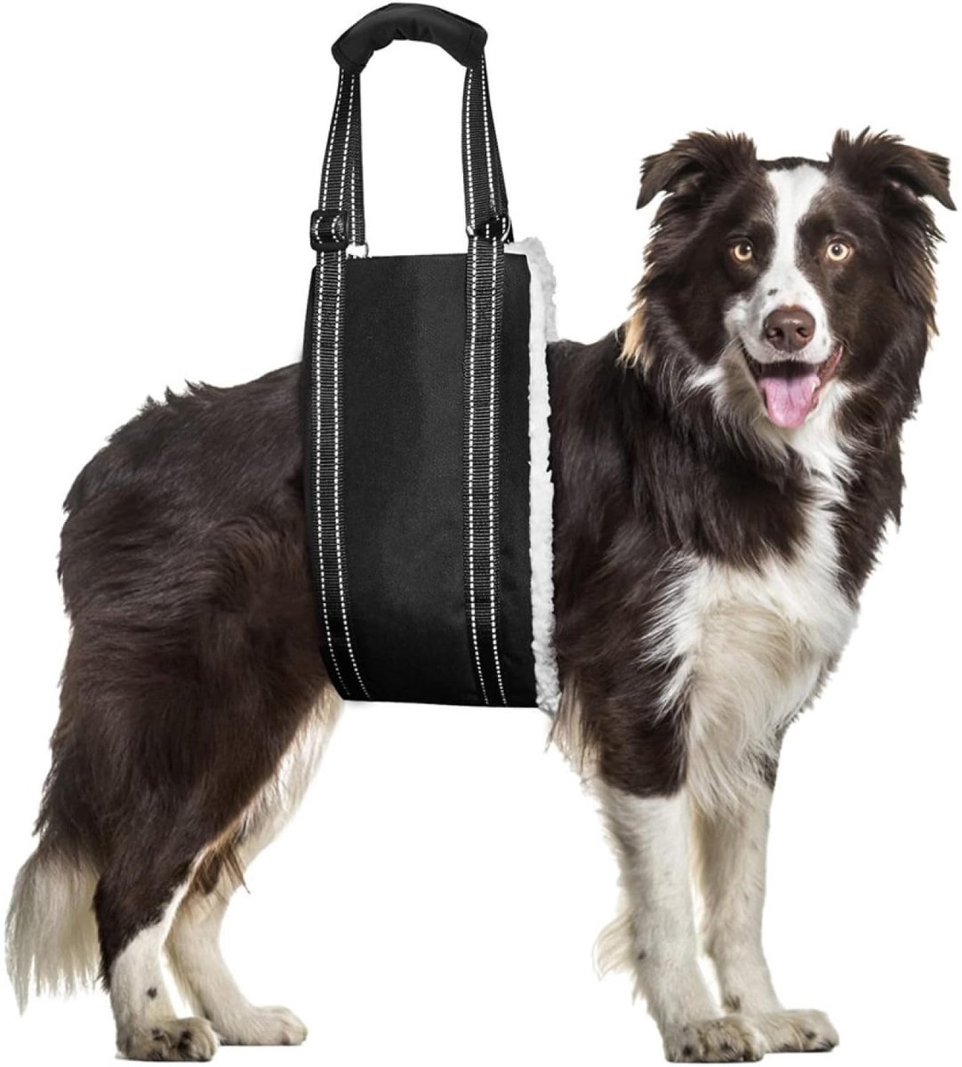 Dailygoods- Hondendrager Verstelbaar - Draaghulp voor Honden