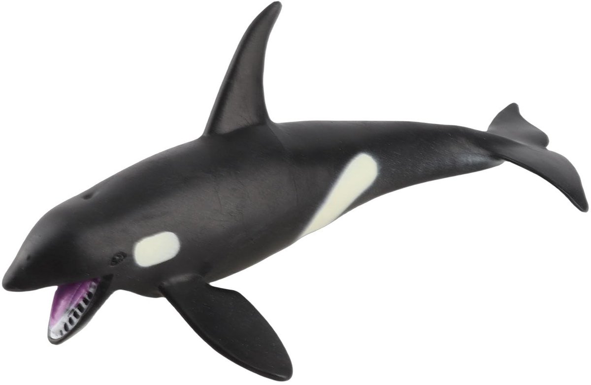Dailygoods- Walvis Model Educatief - Dierenfiguren Speelgoed - Huisdecoratie - Verjaardagscadeau - Creatief Spel - Realistisch Dierenfiguur