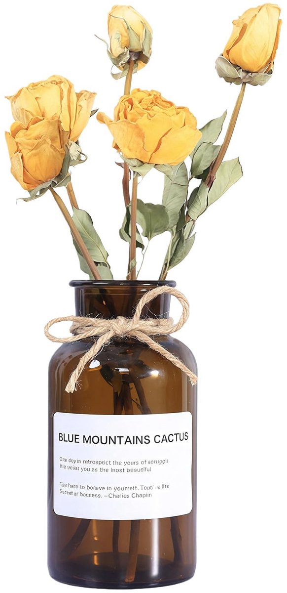 Dailygoods- Bloemvaas 500ml - Amber Glas - Vintage Ontwerp - Antieke Stijl - Decoratieve Vaas - Duurzaam Touwdesign - Bloemfles