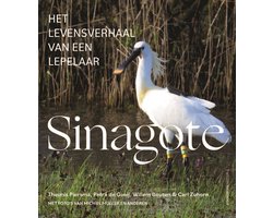 Sinagote