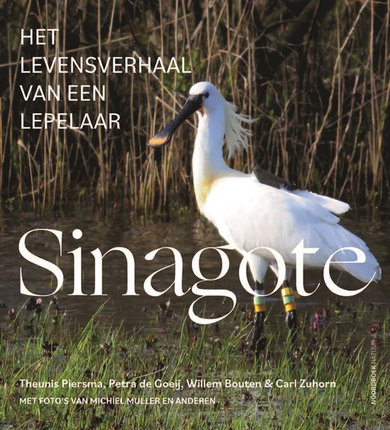 Sinagote - cover