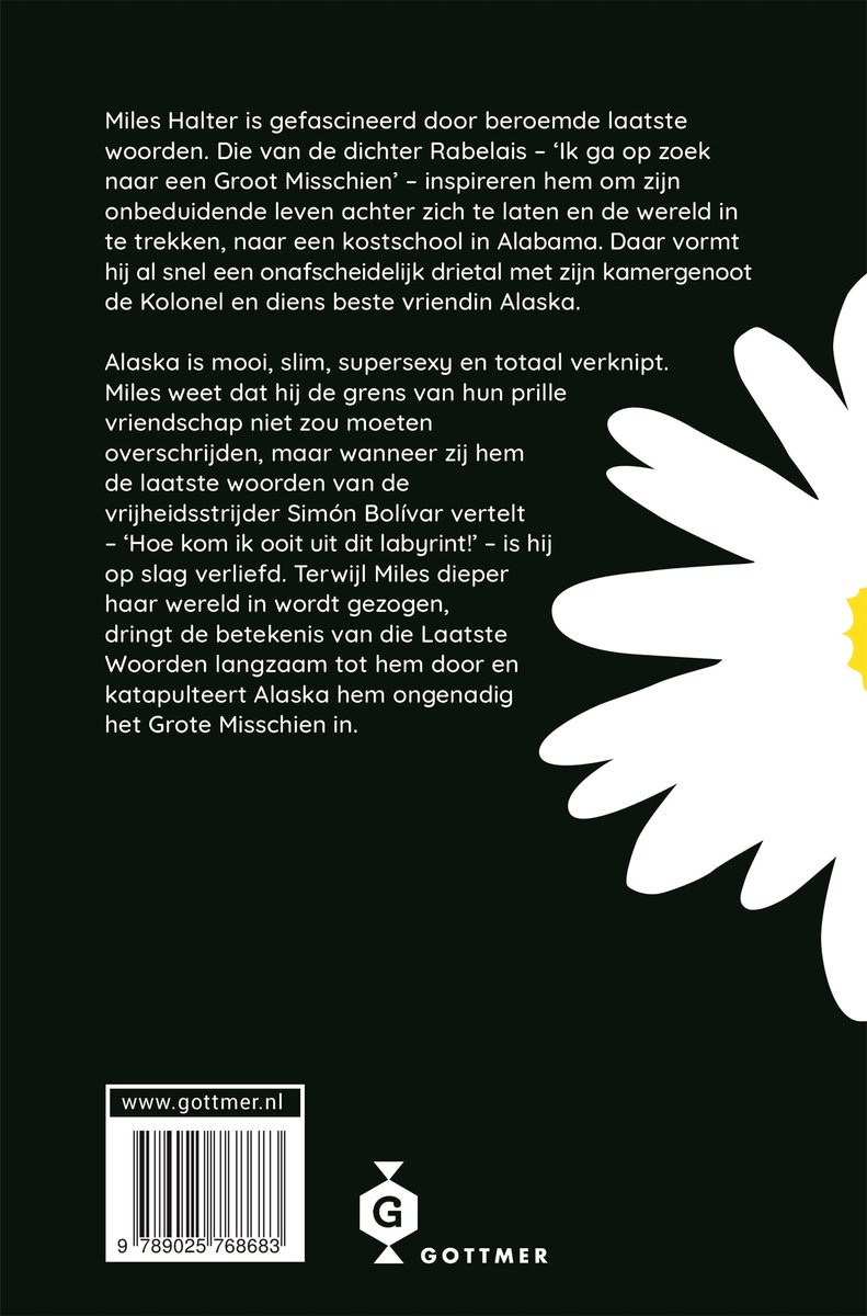 Het grote misschien - back cover