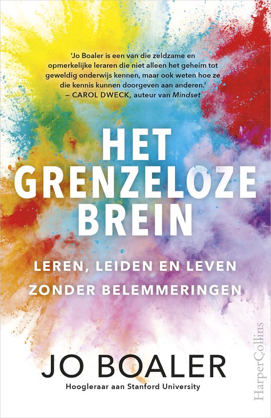 Het grenzeloze brein - cover