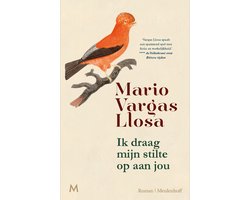 Omslag van Ik draag mijn stilte op aan jou