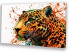 Luipaard, Street Art, Oranje, groen, zwart, wit, geel