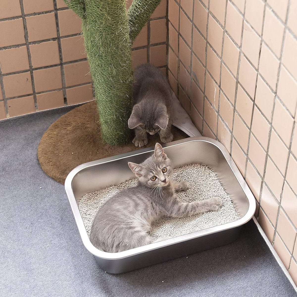 Lohofrnny RVS Kattenbak, 60×40×10cm Grote kattenbak van roestvrij staal, geurvrije kattenbak voor grote konijnen en grote katten, eenvoudig schoon te maken, anti-slip rubberen bodem
