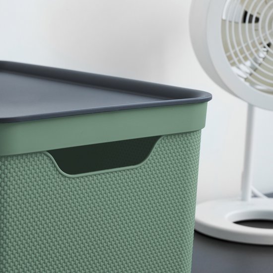 Lot de 3 boîtes de rangement Rotho Jive 16 l avec couvercle, plastique (PP recyclé), vert/anthracite, 3 x 16 (35 x 25 x 20 cm)
