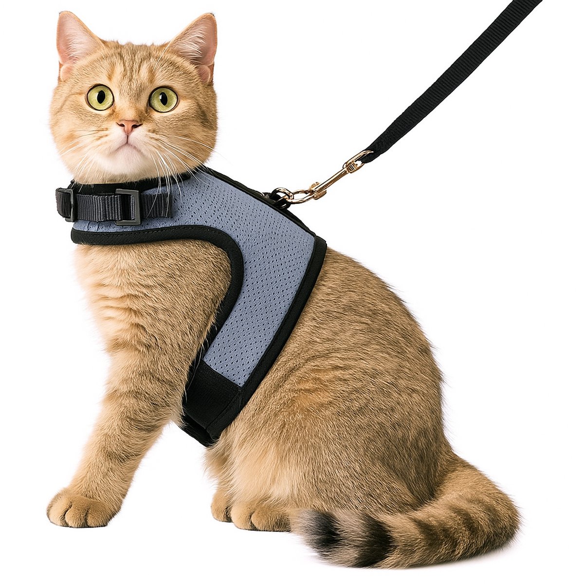 Zootic kattentuigje met looplijn - Kattenharnas blauw variant maat L - Halsomvang 24-32cm & Borstomvang 36-40cm