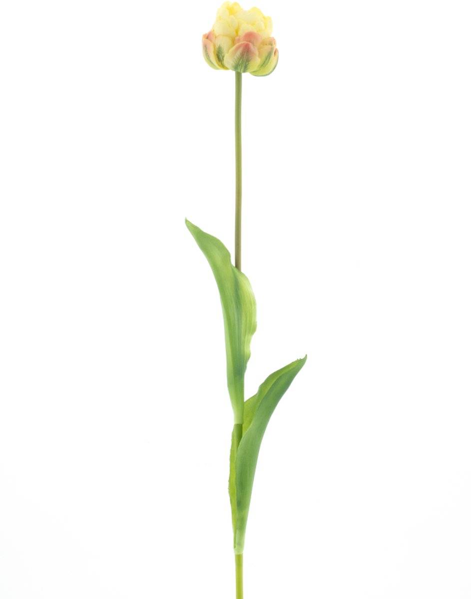 Nova nature - PSO Tulip spray Paris Sally lt yellow 79 cm kunstbloem