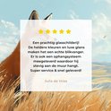 Product afbeelding  10