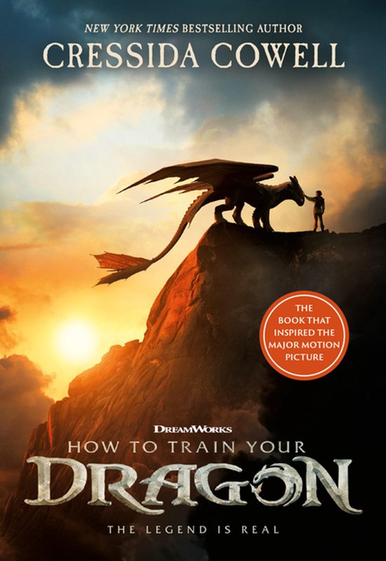 Couverture du livre 'How to Train Your Dragon' avec un garçon touchant un dragon sur un rocher, avec le coucher du soleil en arrière-plan.