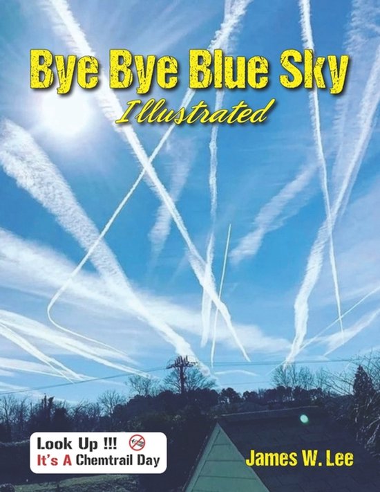 Bye Bye Blue Sky Illustrated - cover