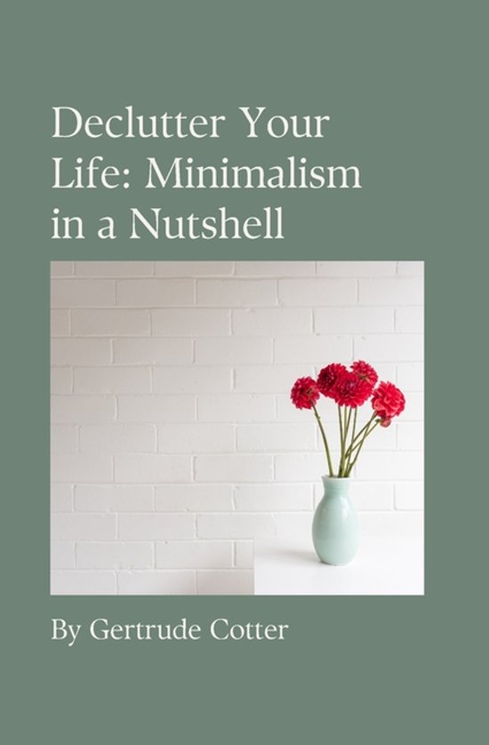 Minimalism in a Nutshell - cover