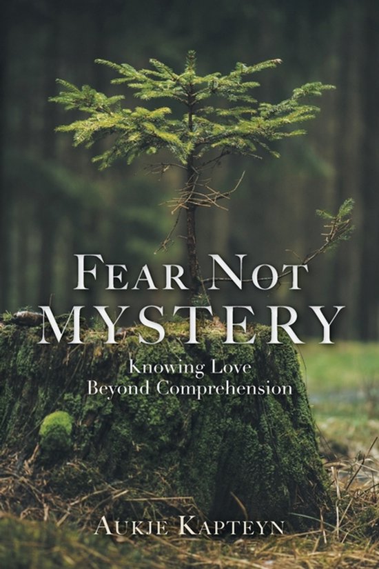 Fear Not Mystery - cover