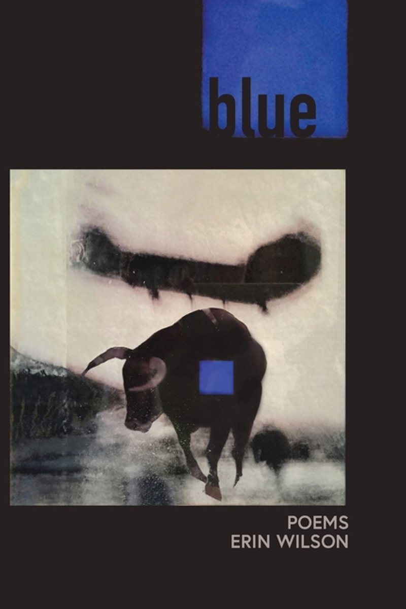 Blue van Erin K. Wilson