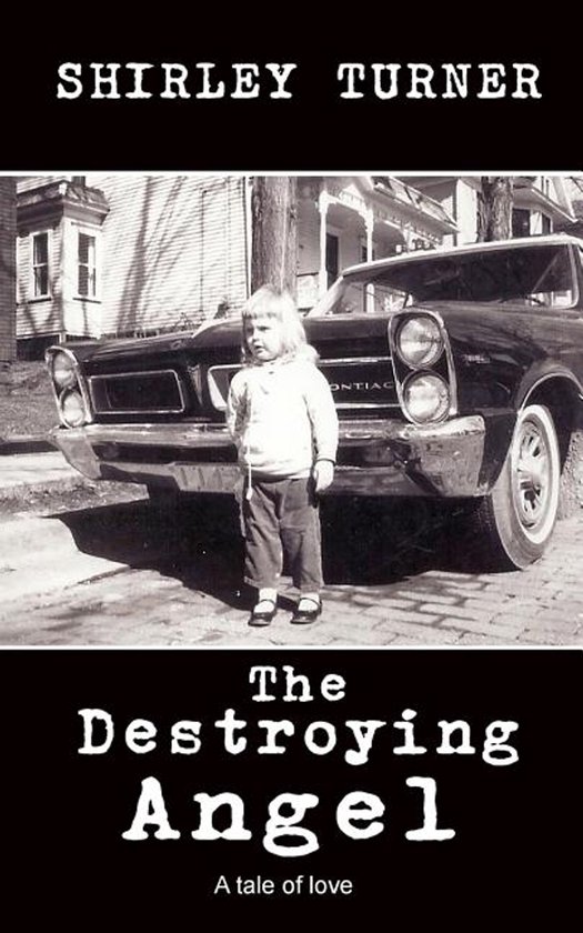 The Destroying Angel - cover