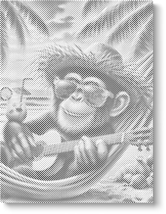 Singe dans un hamac | Peinture par points | 30x40cm | Toile lâche | Peinture au Diamond et Peinture par numéro alternative | Peinture en pointillé | Cadeau