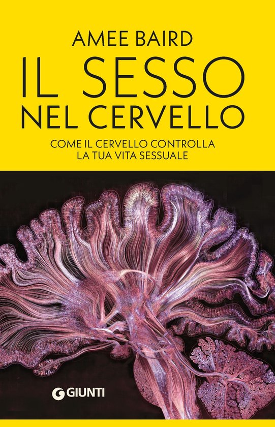 Il sesso nel cervello - cover