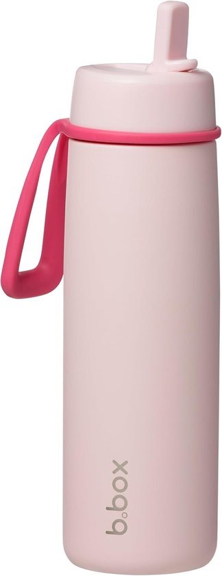 Volhoply Drinkfles, 750 ml, van roestvrij staal, met rietje, dubbelwandig, vacuüm geïsoleerde thermosfles, voor kinderen, metaal, voor sport, school, outdoor, marineblauw, 2 stuks