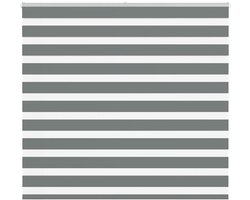 vidaXL - Zebra - rolgordijn - 165x150 - cm - stofbreedte - 160,9 - cm - donkergrijs