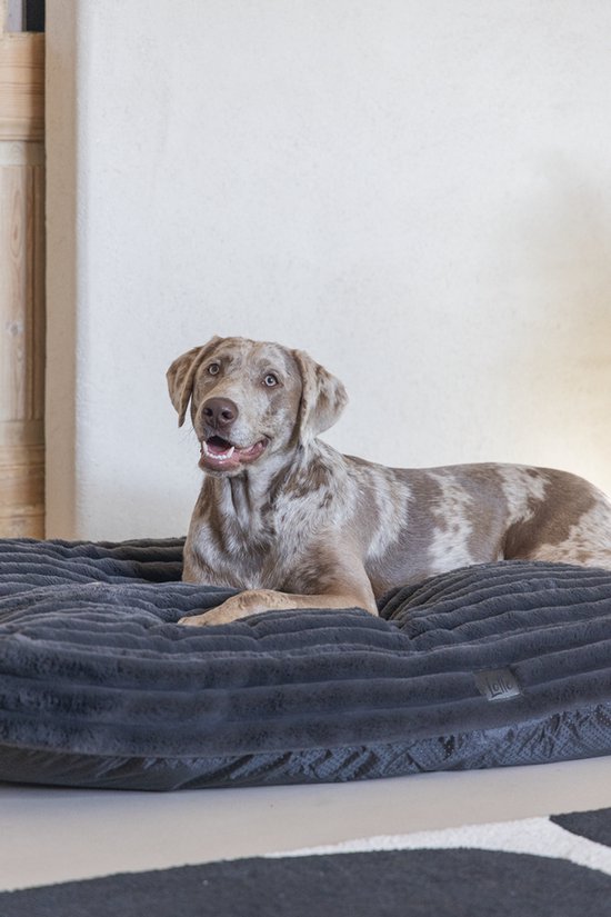 Een teckel met een gevlekt bruin-witte vacht ligt op een donkergrijs hondenbed met ribbels.
