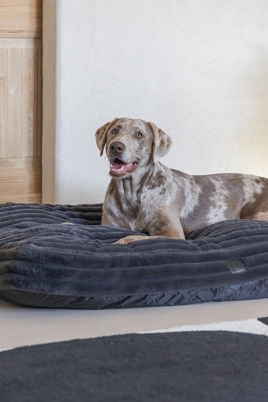 Een grote, gevlekte hond ligt op een donkergrijs, ribbed hondenkussen.
