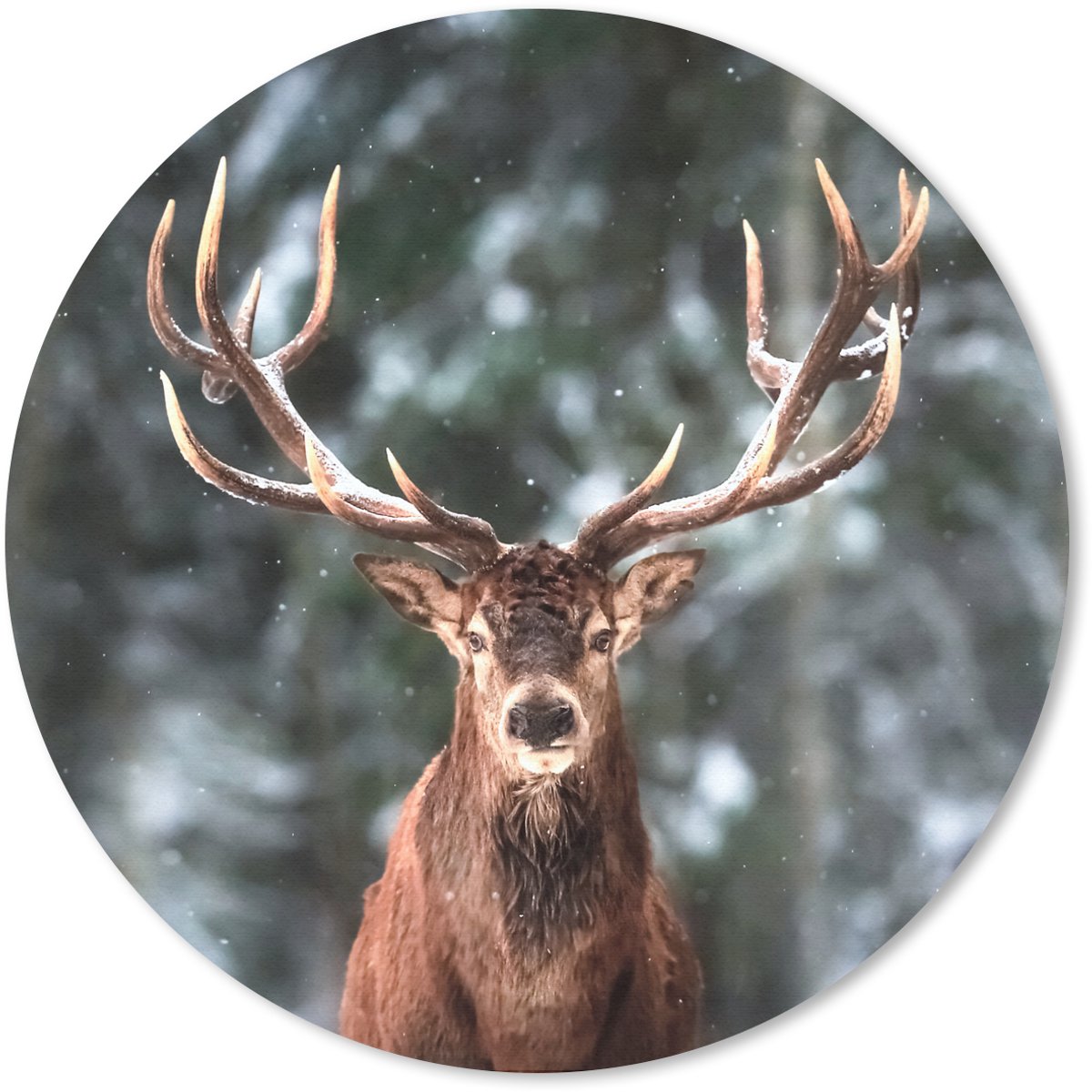 Muismat rond 30x30 cm - Mousepad Hert - Winter - Sneeuw - Bos - Natuur - Dier - Ronde muismatten