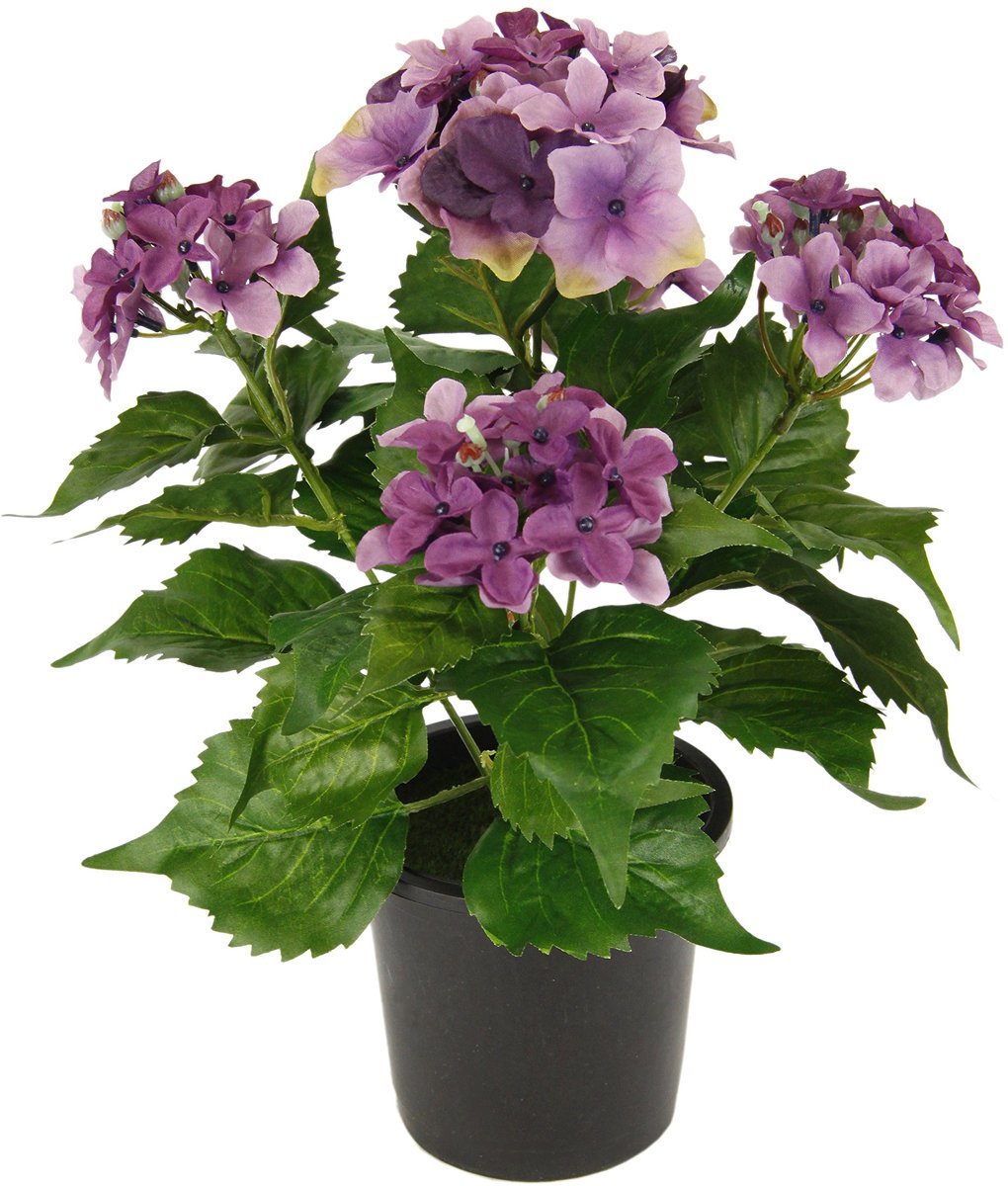 Ibenzoa Levensechte Kunsthortensia in Pot voor Binnen en Buiten, Perfecte Decoratieve Bloemenoptie Kunstbloemen paars