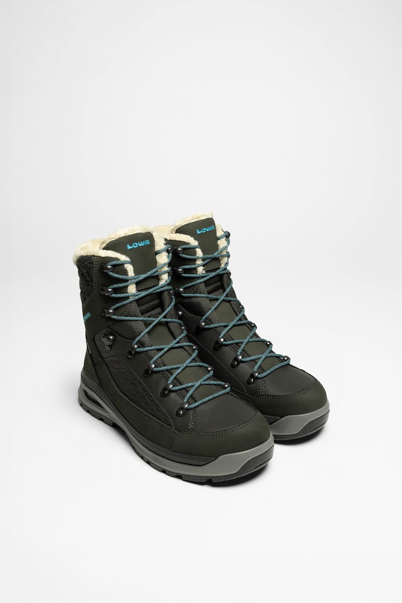 RENEGADE EVO ICE GTX Ws Dames Grijze Winterlaarzen Grijs