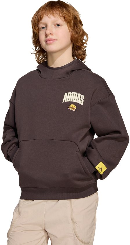 adidas Sportswear Sweat à capuche adidas The Simpsons Kids - Enfants - Marron - 176