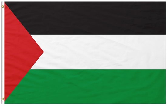Video's over Wat is Palestina Ronde Badge Naald -Type