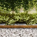 Een roestbruine metalen borderrand langs een grindpad en groen struikgewas in een tuin.