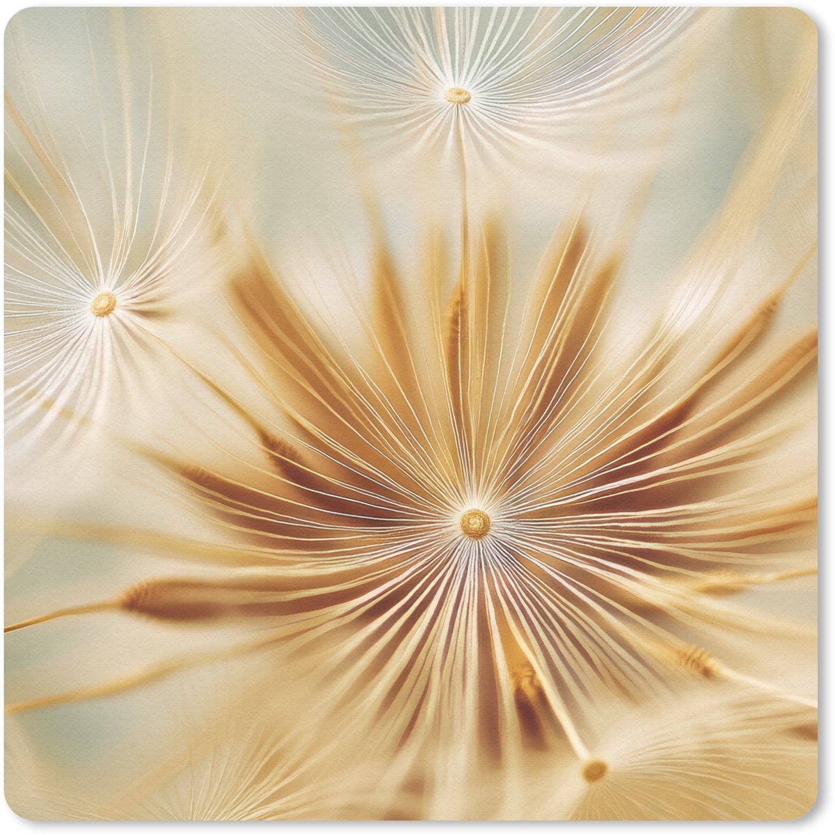 Muismat 30x30 cm - Mousepad Paardenbloem - Beige - Abstract - Modern - Natuur - Muismatten