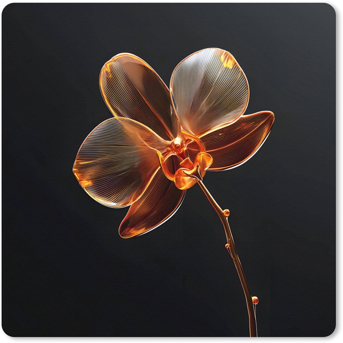 Muismat XXL 40x40 cm - Bureau onderlegger - Bureau mat Orchidee - Doorzichtig - Bloem - Bureaumat - Gaming mousepad xl - Bureaulegger groot - Computer deskmat