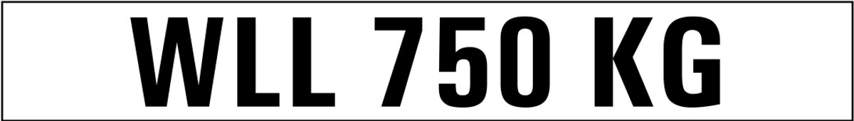 WLL 750 kg sticker 500 x 70 mm