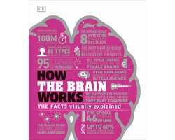 How the Brain Works