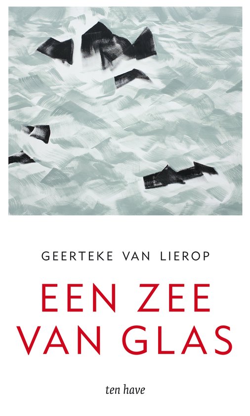 Een zee van glas - cover