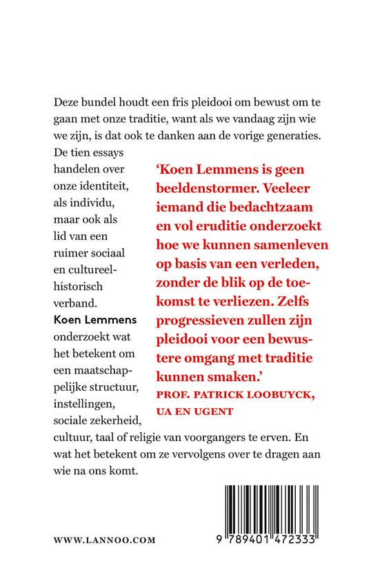 De dwaling van de beeldenstormer