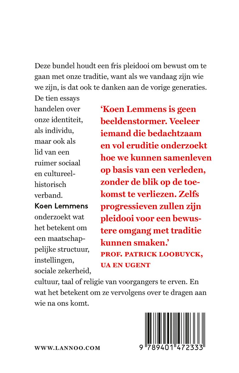 De dwaling van de beeldenstormer - back cover