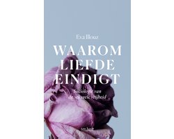 Omslag van Waarom liefde eindigt