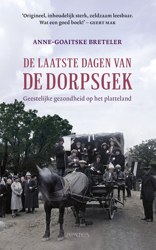 De laatste dagen van de dorpsgek - cover