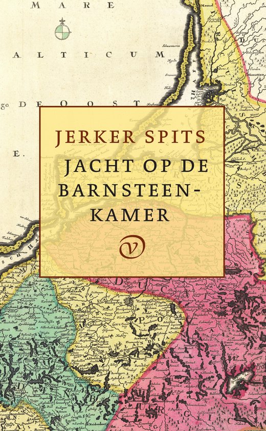 9789028220041 - Jacht op de barnsteenkamer