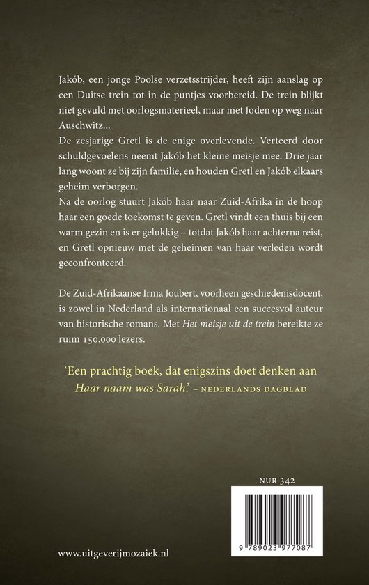 Het meisje uit de trein