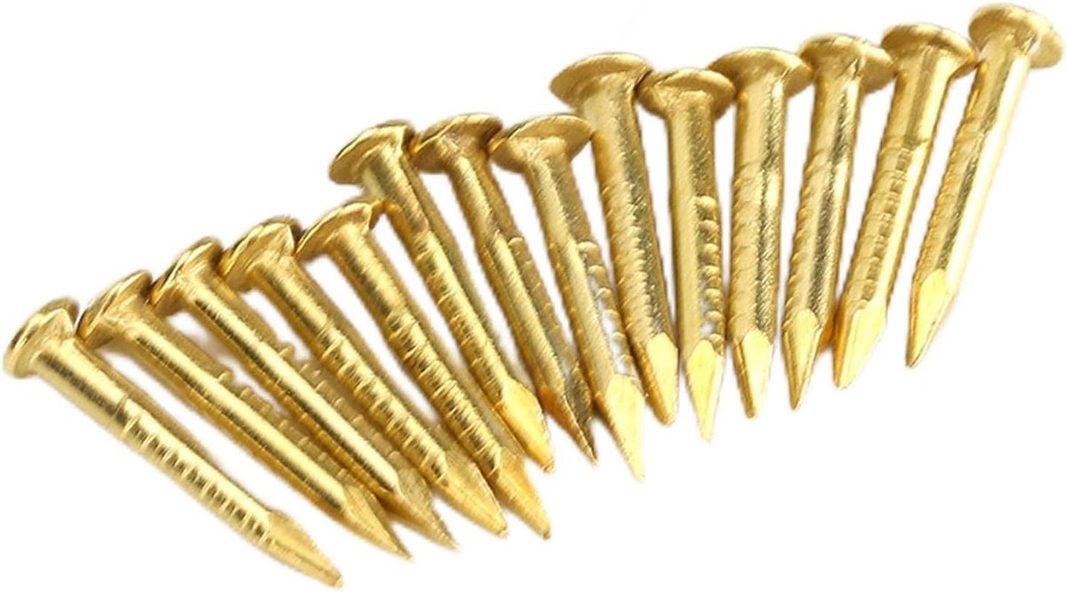 100 stuks messing rozetstiften met ronde kop (10 mm lang) - voor het ophangen van fotolijsten en meubelscharnieren
