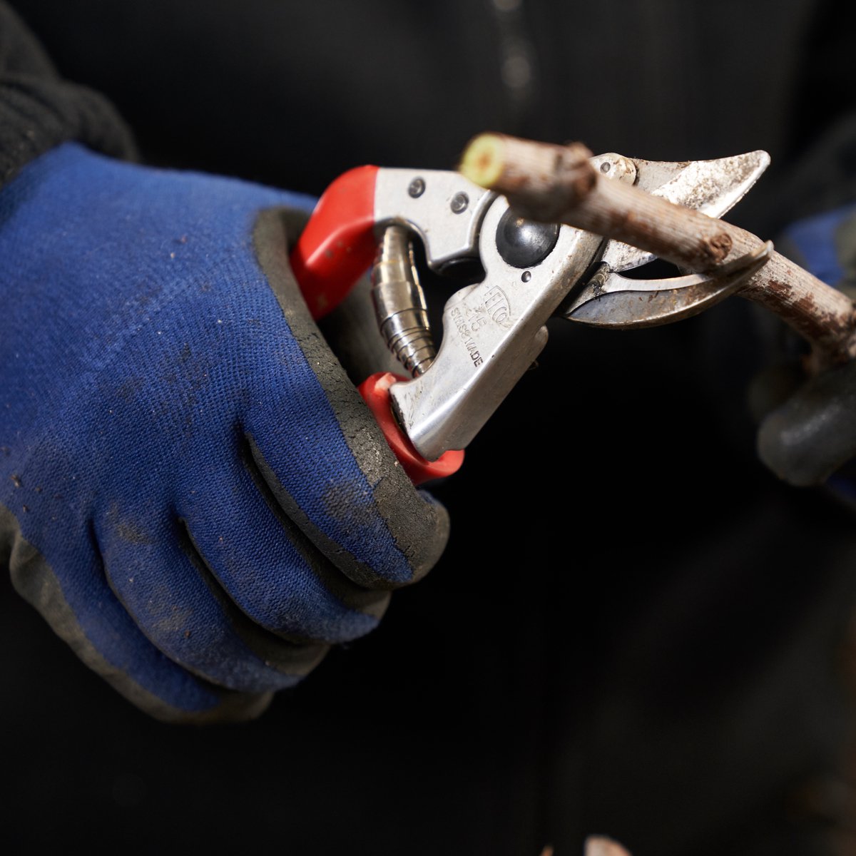 Felco 15 pruning shears with rotating handle