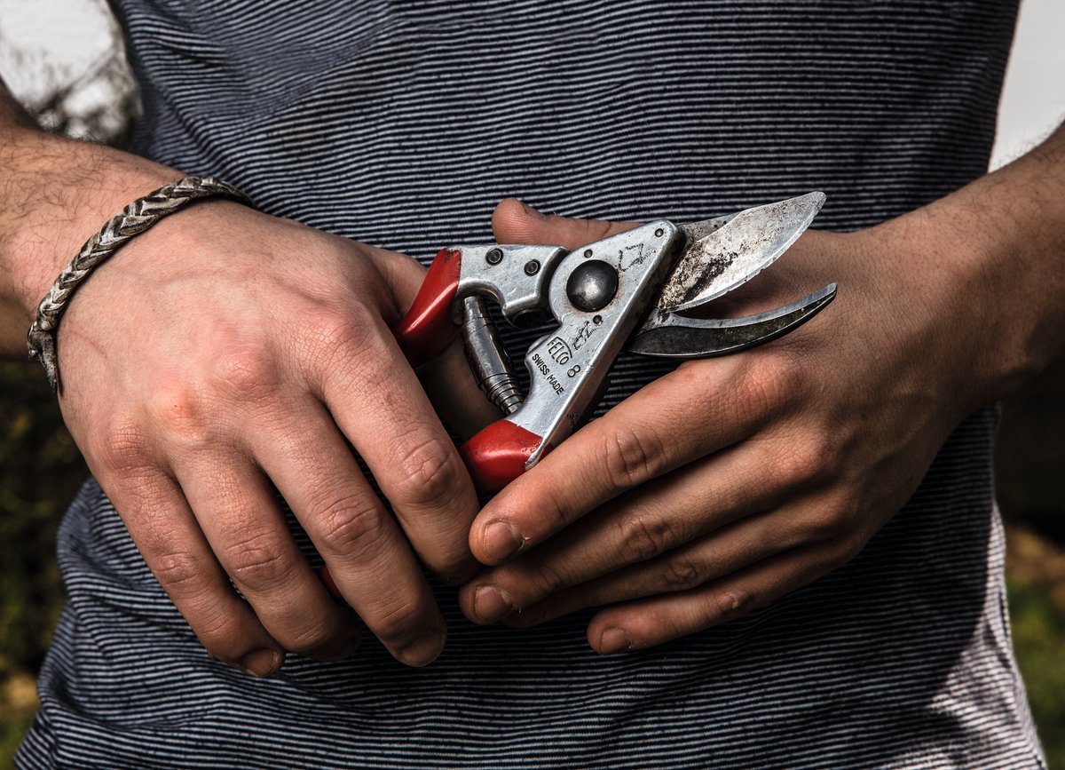 Felco 8 Sécateur - Pour grandes mains - Diamètre de coupe max. 25 mm