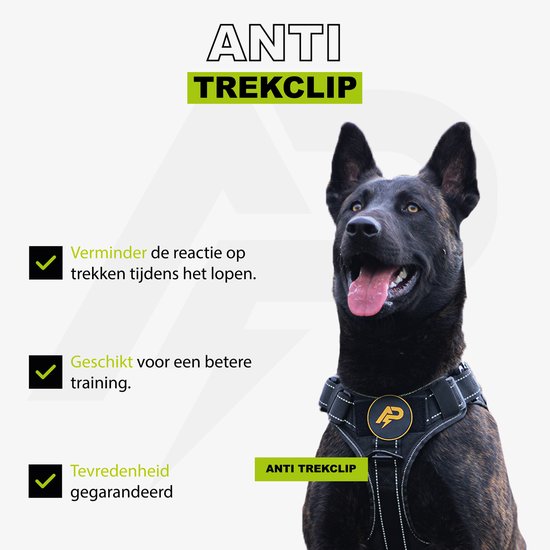 Kortharige donkere hond met zwart Always Prepared anti-trek tuig, effectief voor training.