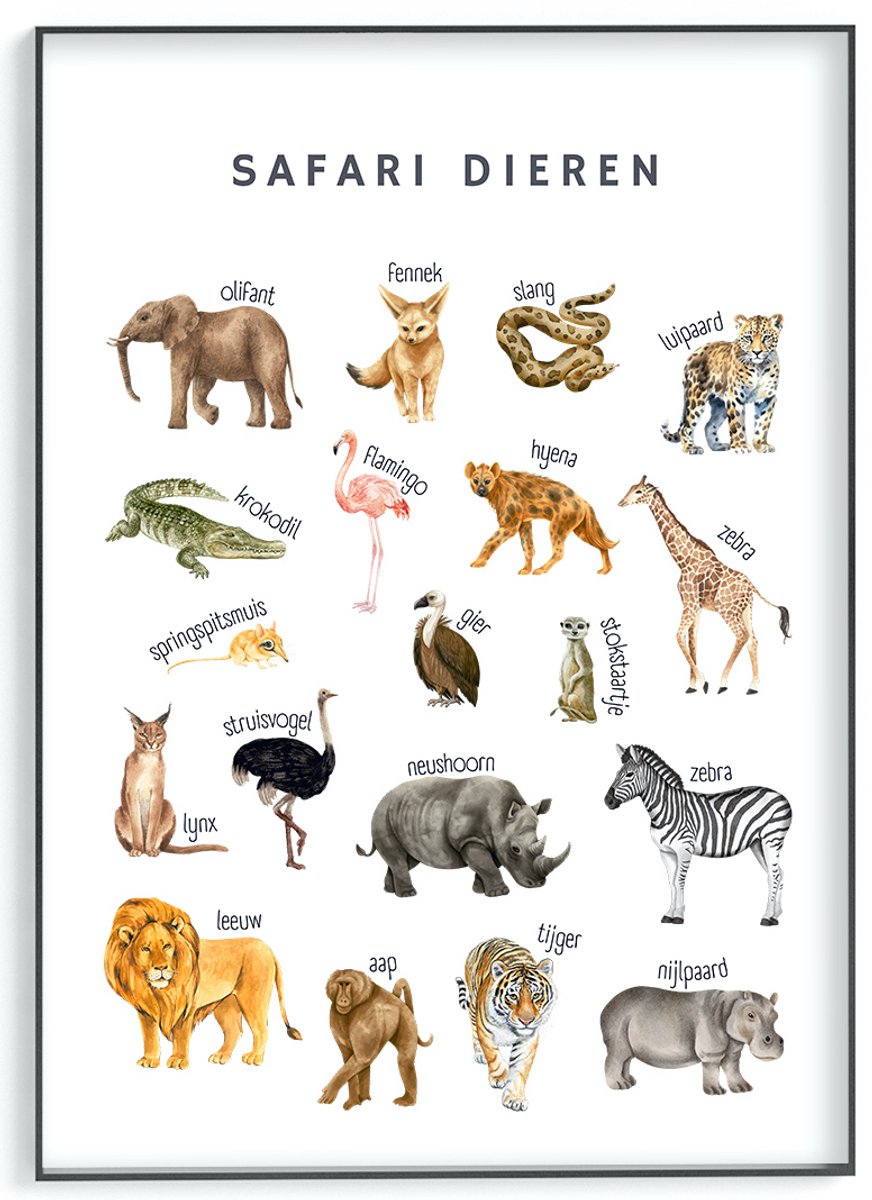 No Filter - Educatieve poster - Safari dieren poster - 30x40 cm - A3 formaat- Kinderkamer posters - dierenposter
