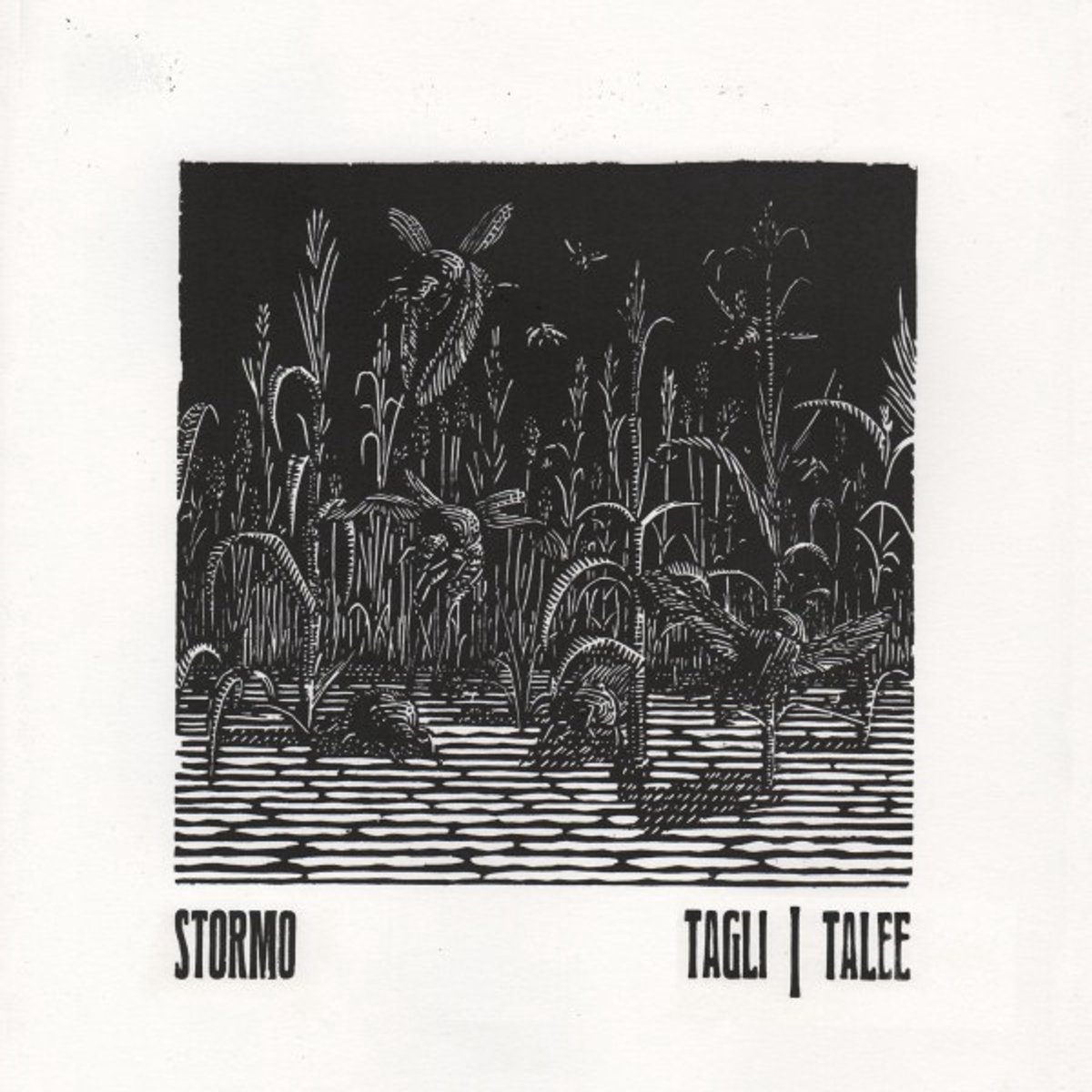Tagli/Talee