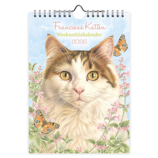 Katzen Premium Kalender 2023 DIN A4 Wandkalender Weltweit Tiere Katze Katzenkinder süße Kätzchen